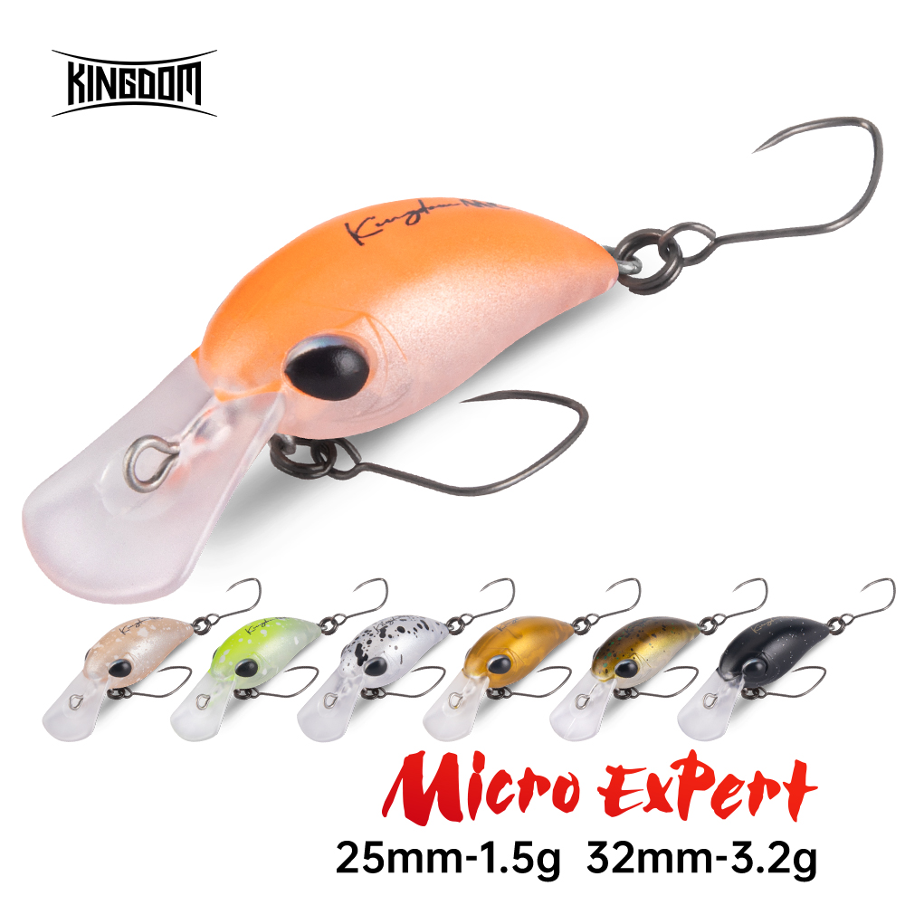 キングダムフィッシングルアー マイクロエキスパートミノー 1 - Fishing Lure Topwater のレビューと価格